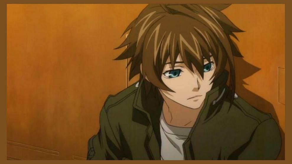 Chrome Shelled Regios